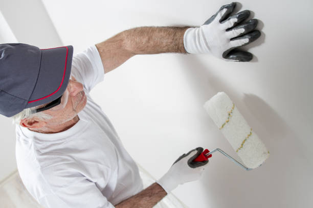 Reliable Green Valley, SD Mold Removal Solutions