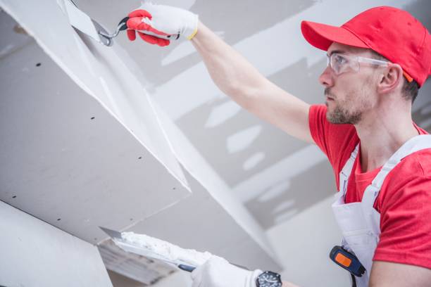 Best Mold Damage Restoration  in Green Valley, SD