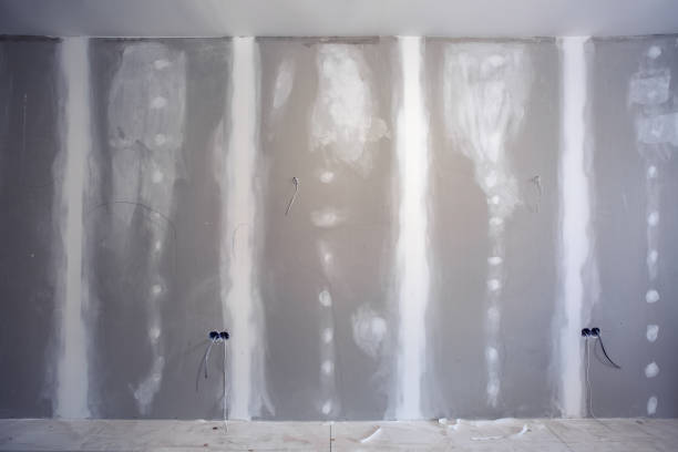 Mold Odor Removal Services in Green Valley, SD